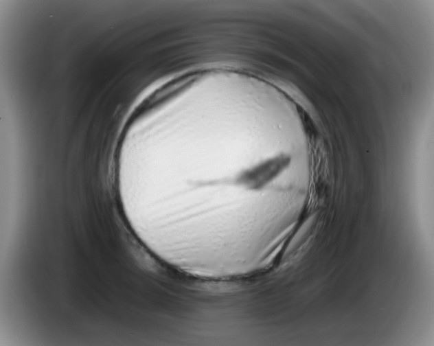 X0000084001044200703091902