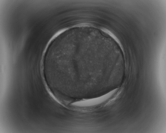 X0000084001045200703091902