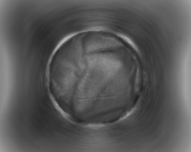 X0000084001046200703091902