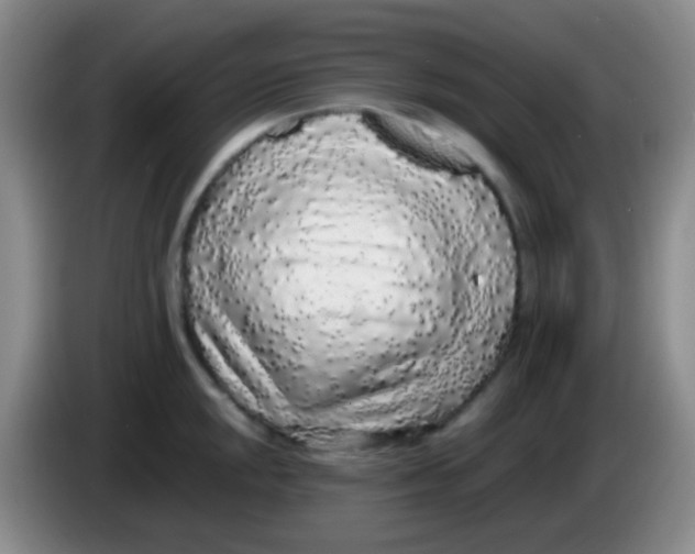 X0000084001048200703091902