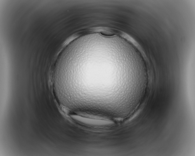 X0000084001049200703091902