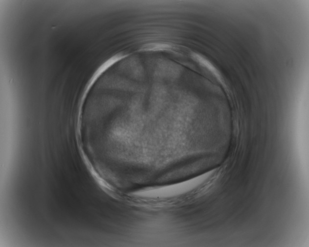 X0000084001050200703091902