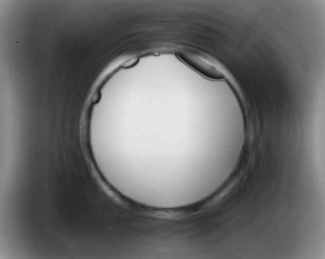 X0000084001053200703091902