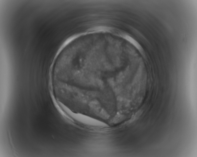 X0000084001055200703091902