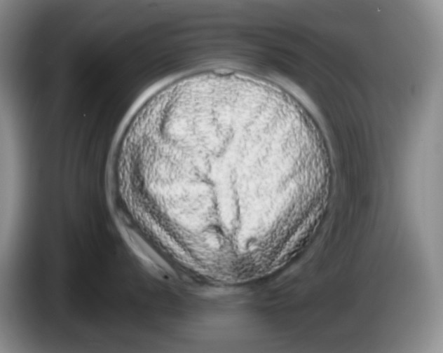 X0000084001056200703091902