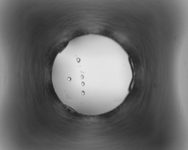 X0000084001058200703091901