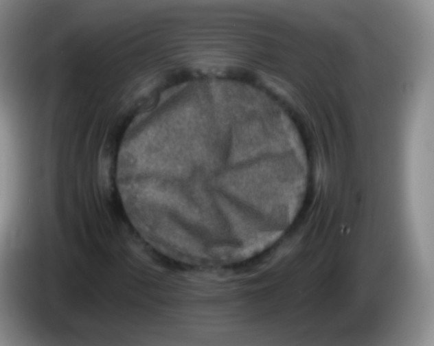 X0000084001060200703091901
