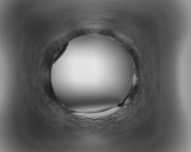 X0000084001061200703091901