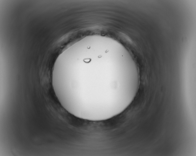 X0000084001062200703091901