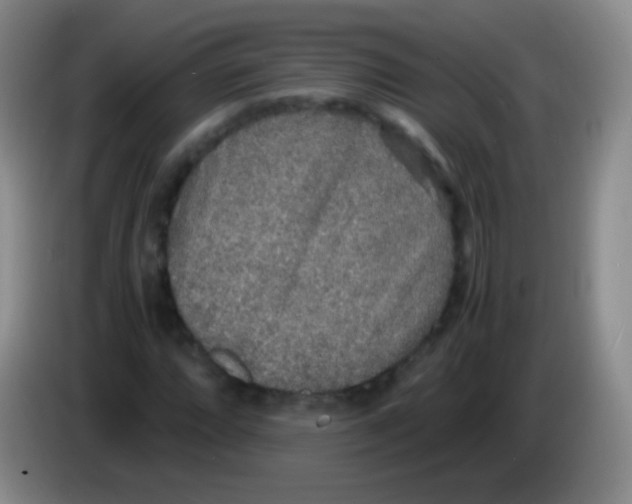 X0000084001064200703091901