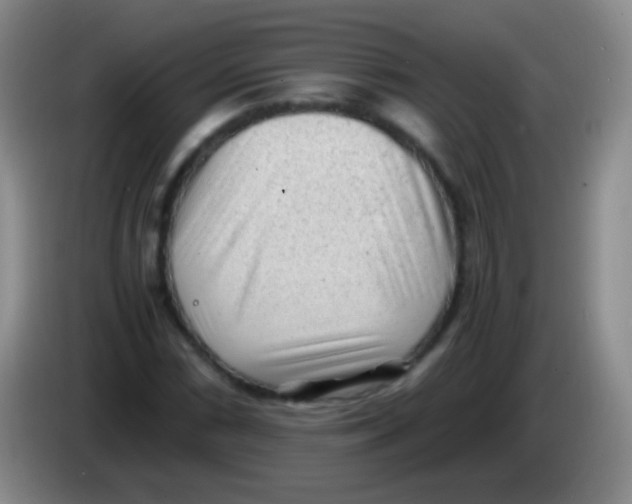 X0000084001066200703091901