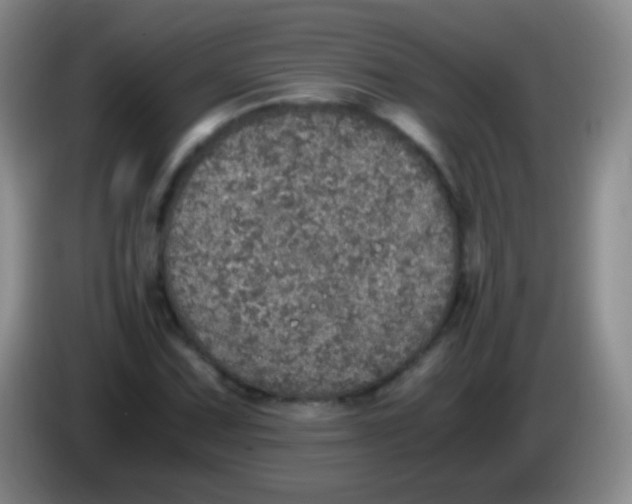 X0000084001067200703091901