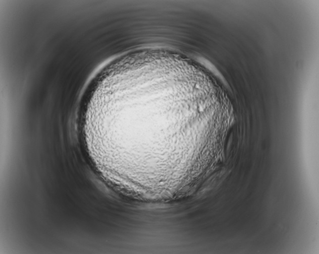 X0000084001068200703091901