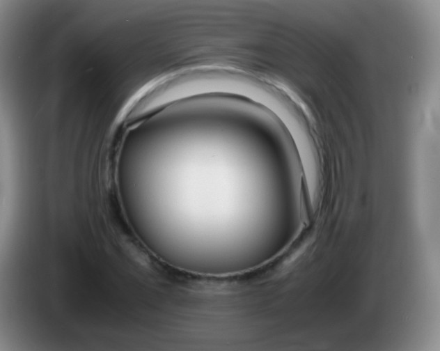 X0000084001069200703091901