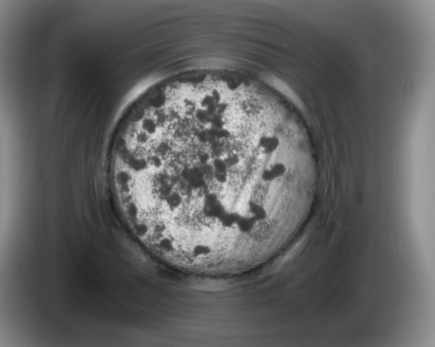 X0000084001071200703091901