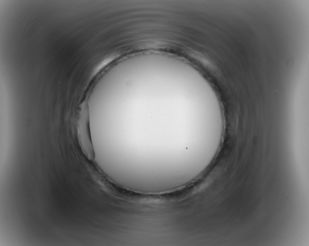 X0000084001073200703091901