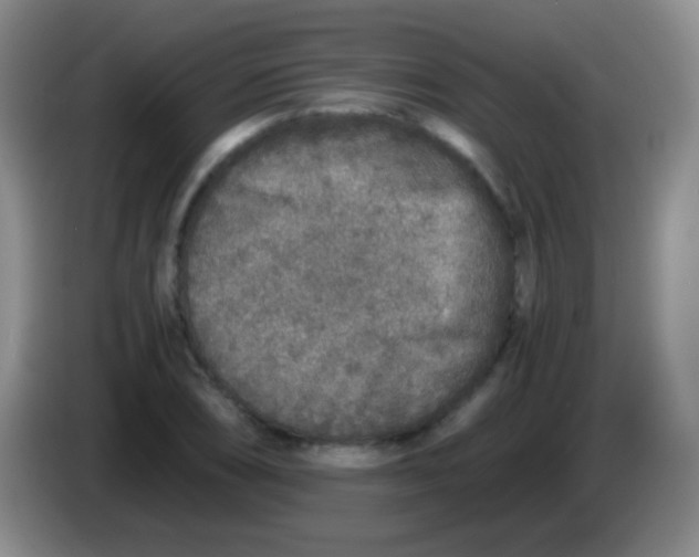 X0000084001074200703091901