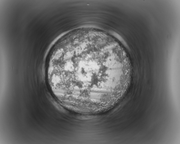 X0000084001076200703091901
