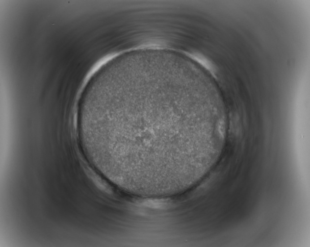 X0000084001078200703091901