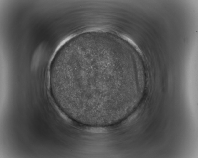 X0000084001079200703091901