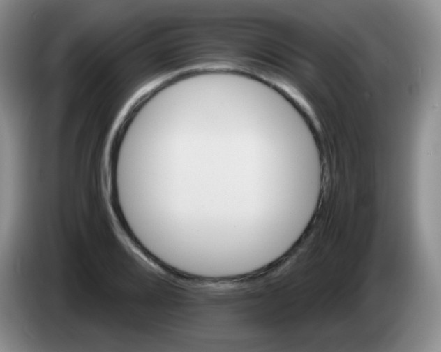 X0000084001080200703091901