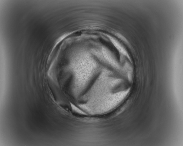 X0000084001081200703091901