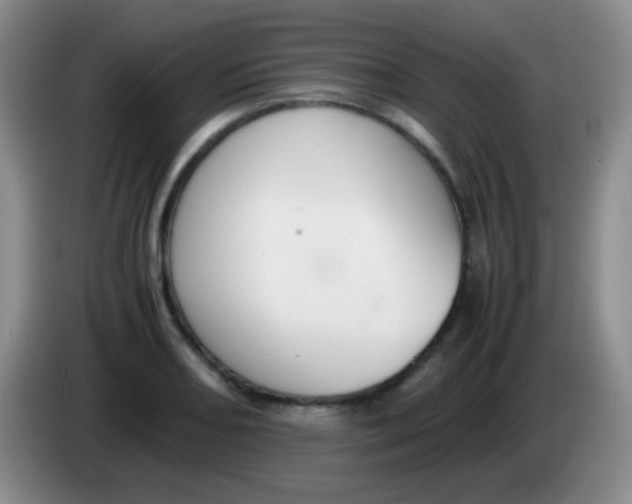 X0000084001082200703091901