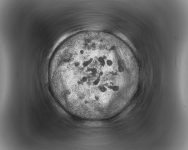 X0000084001083200703091901