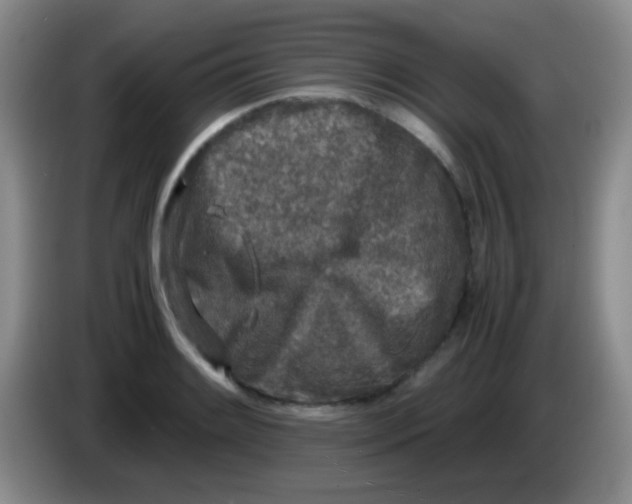 X0000084001084200703091901