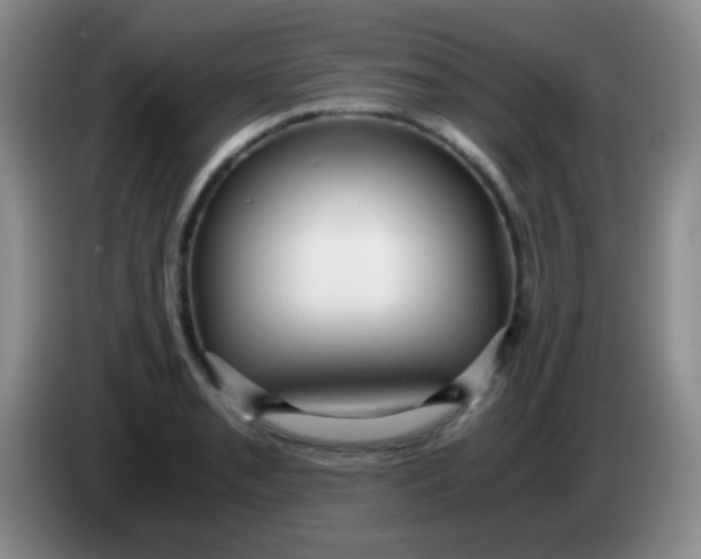 X0000084001085200703091901