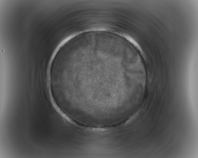 X0000084001088200703091901