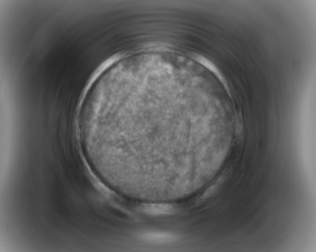 X0000084001090200703091901
