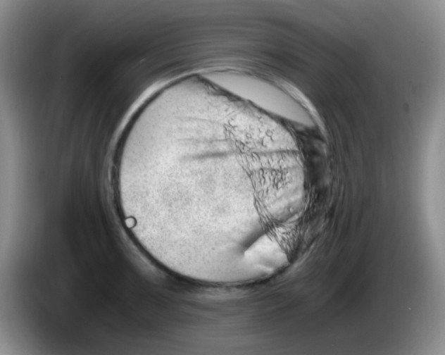 X0000084001091200703091901