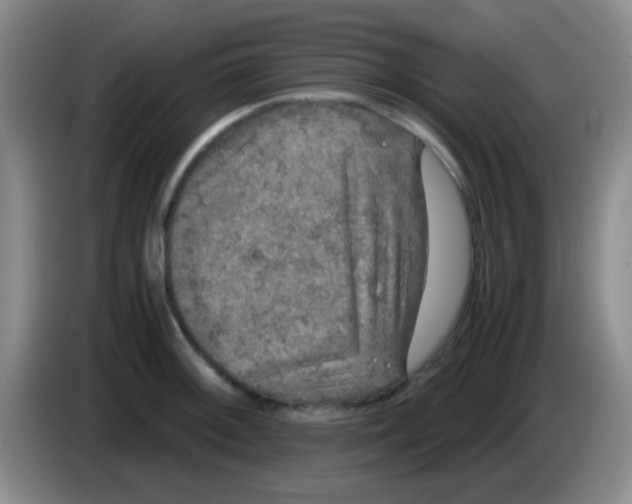 X0000084001092200703091901