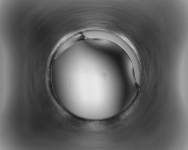 X0000084001093200703091901