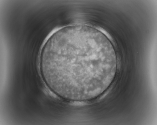X0000084001094200703091901