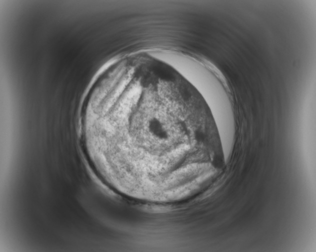 X0000084001095200703091901