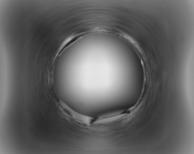 X0000084001097200703091901