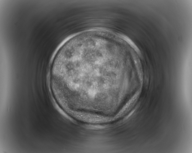 X0000084001100200703091901
