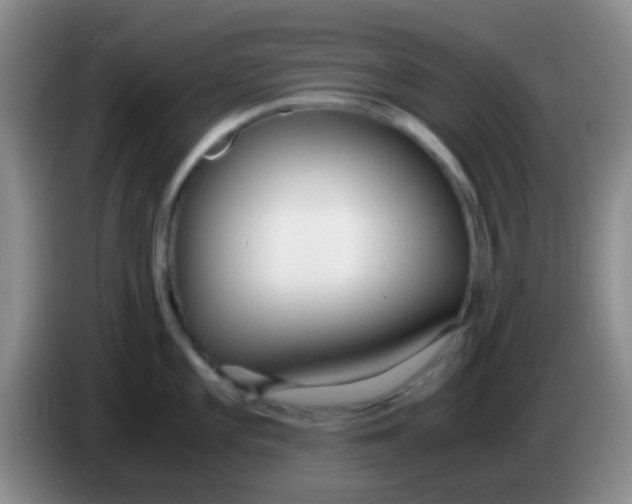 X0000084001101200703091901