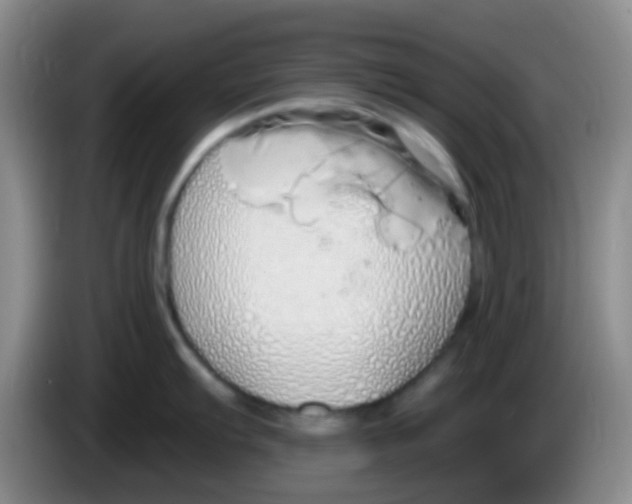 X0000084001103200703091901