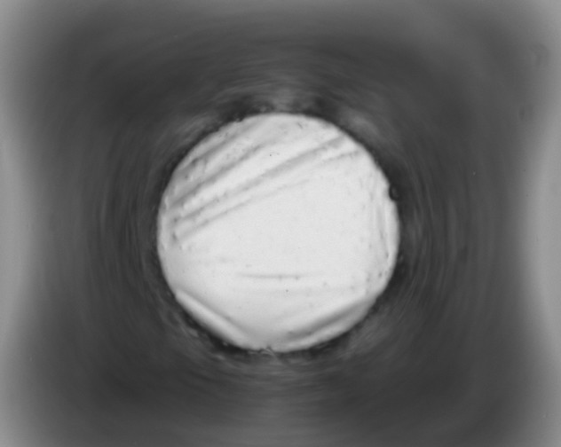 X0000084001105200703091900