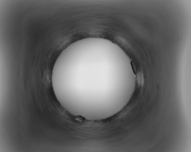 X0000084001107200703091900