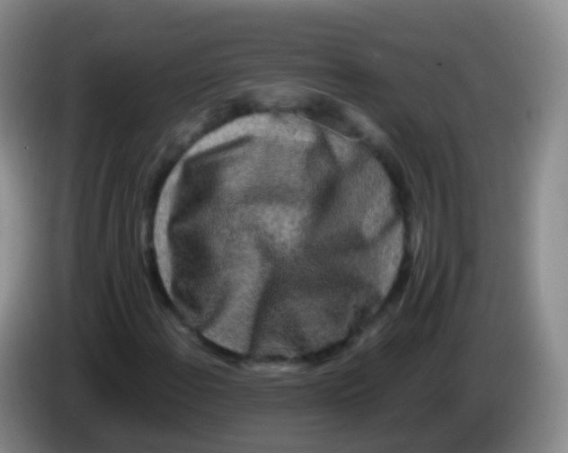 X0000084001108200703091900