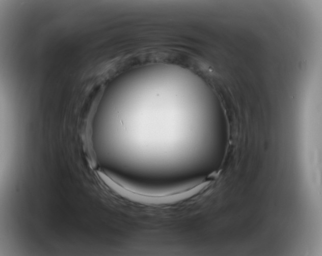 X0000084001109200703091900