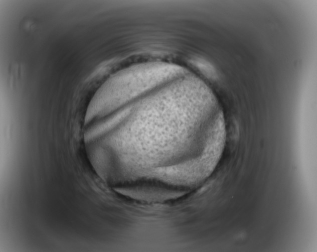 X0000084001110200703091900