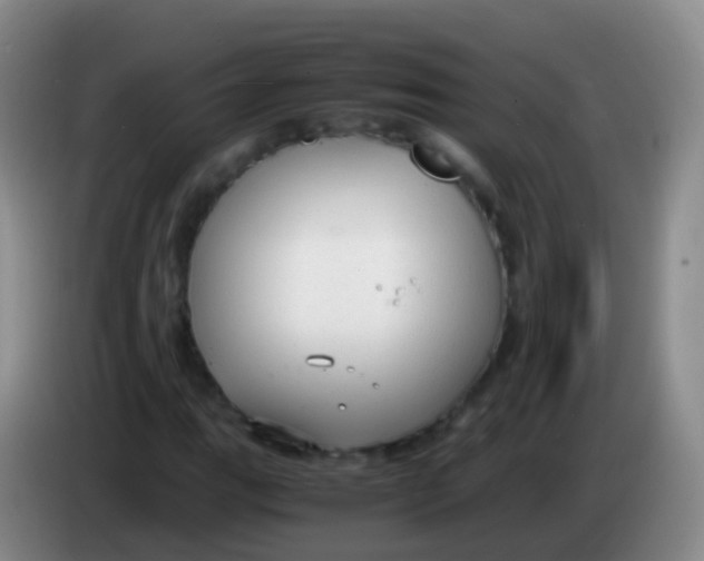 X0000084001111200703091900