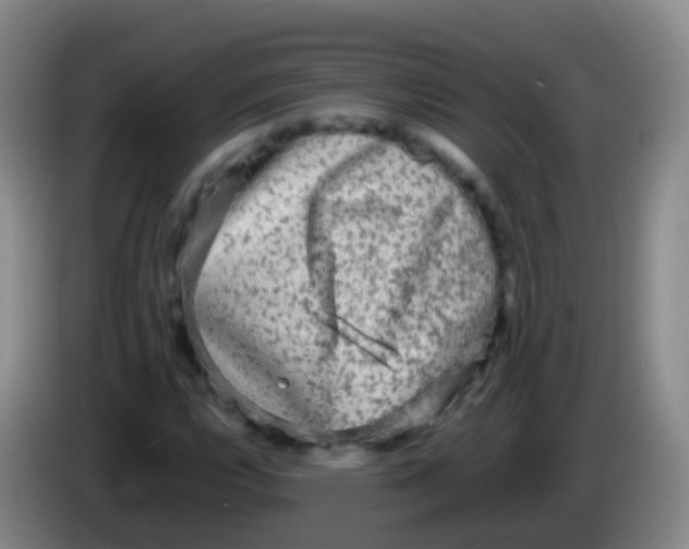 X0000084001112200703091900