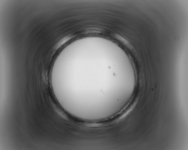 X0000084001113200703091900