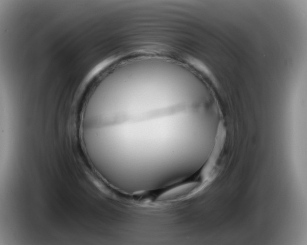 X0000084001114200703091900